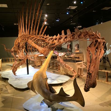 Spinosaurus Lost Giant Of The Cretaceous Paul Sereno
