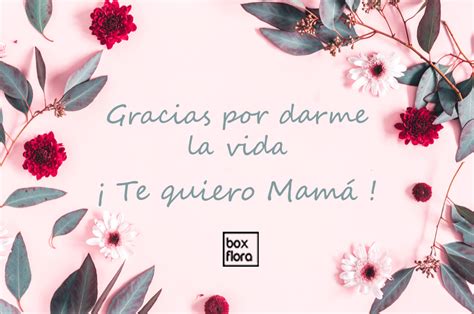 Frases Para Tu Tarjeta Del Día De La Madre ️ 2020 ¡originales Boxflora