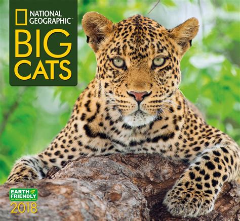 National Geographic Big Cats Photos All Recommendation