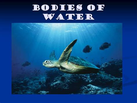 Ppt Bodies Of Water Powerpoint Presentation Free Download Id5353714