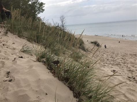 Indiana Dunes State Park State By State Travel