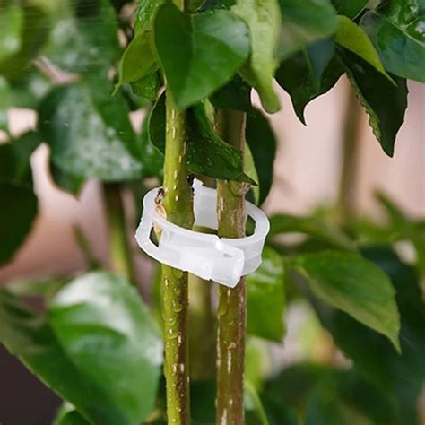 Plant Twist Clip Ties Garden Plant Support Clips Vegetables Tomato Vine