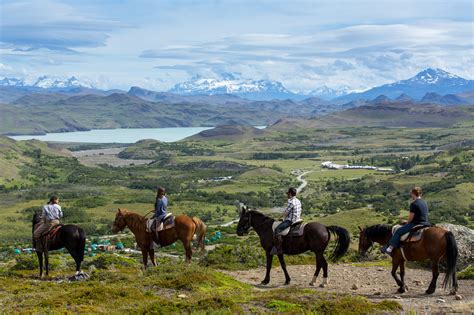 Patagonia Wilderness Adventure Wildlife Travel Holiday Voyage Nature