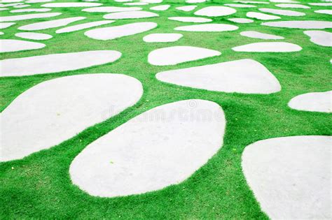 Curving Stepping Stone Path In The Garden Stock Image Image Of Green