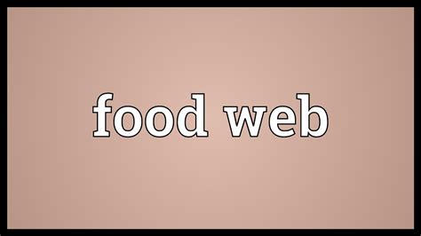 Food Web Definition Food Chain And Food Web Definition Diagram And