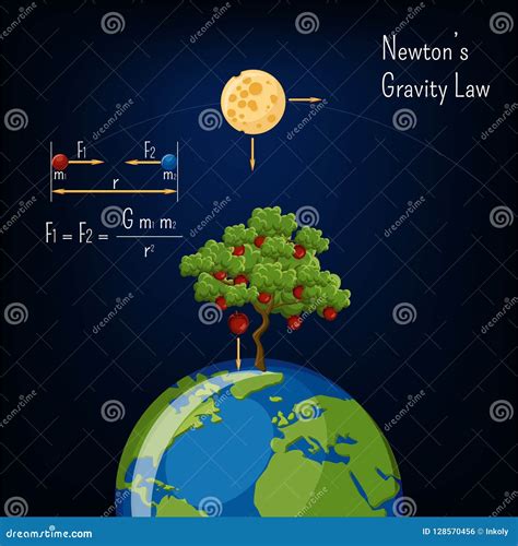 Newton S Gravity Law Infographic With Earth Globe Moon Apple Tree And