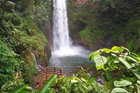 The privately owned 70 acre (28 hectares) waterfall garden offers splendid cloud forest views, nature trails and waterfalls. La Paz Waterfall Gardens & Wildlife Refuge day tour from ...