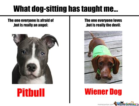 Pitbulls And Wiener Dogs By Nyandeerxd Meme Center