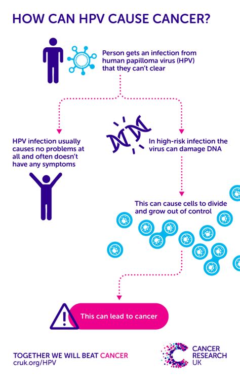 Does Hpv Cause Cancer Cancer Research Uk
