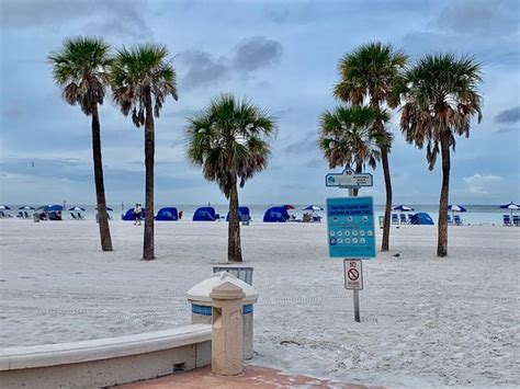 Beach Walk Clearwater 2019 All You Need To Know Before You Go With
