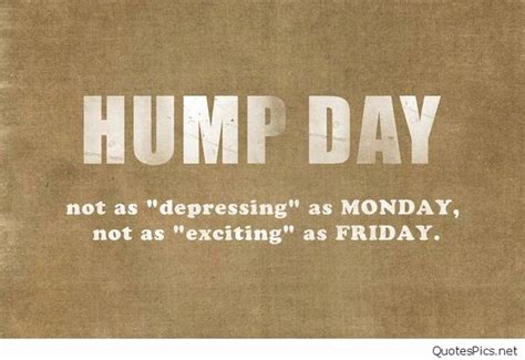 Atw What Does Happy Hump Day Mean Slang By