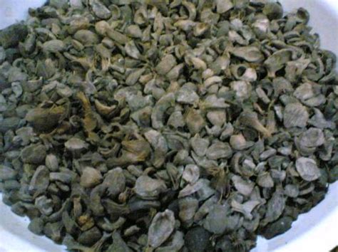 Live price charts, forecasts, technical analysis, news, opinions, reports and discussions. Palm Kernel Shells Needed (pictures Attached) - Business ...