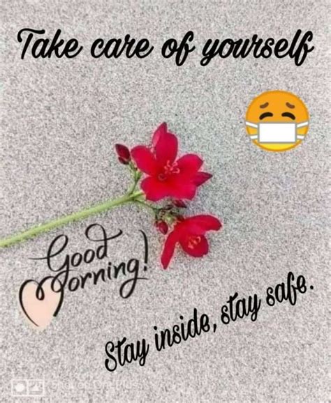 Good Morning Stay Safe Images Wisdom Good Morning Quotes