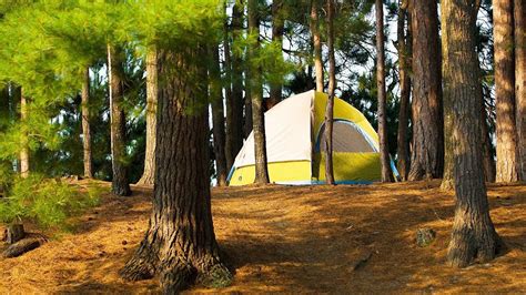 Picking A Campsite 3 Important Facts For Campers Outdoorassss