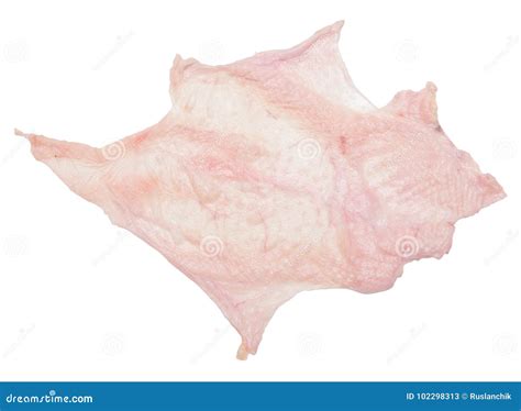 Chicken Skin Stock Image Image Of Ingredient Dinner 102298313