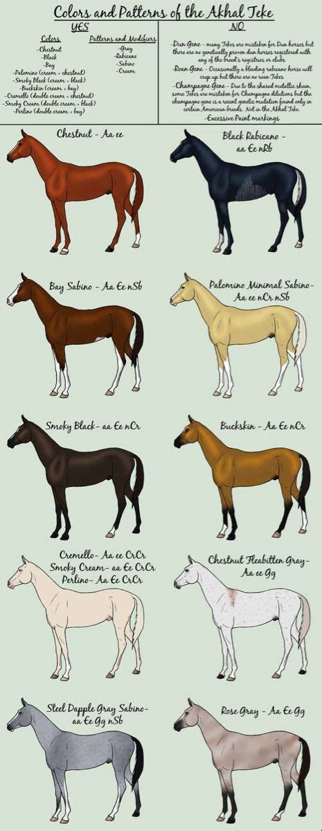 Colors Of The Akhal Teke By Dancingdragonstables On Deviantart Akhal