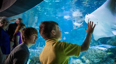 Visit Henry Doorly Zoo In South Omaha Expedia