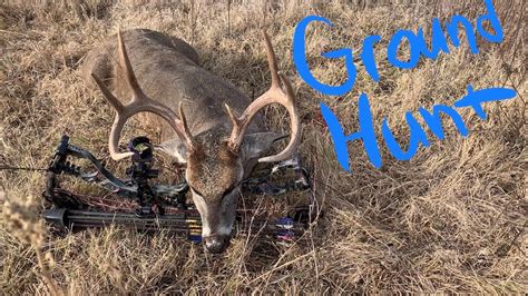 Bowhunting Public Land Whitetail On The Ground Youtube