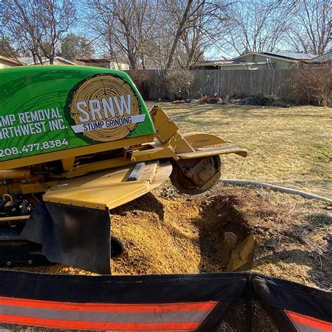 Stump Grinding Cost And How To Calculate It