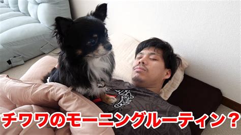 魔法世界の受付嬢になりたいです 1話 zip, 魔法世界の受付嬢になりたいです 1話 rar, 魔法世界の受付嬢になりたいです 1話 無料, read, raw scans online, raw manga, raw. HD限定 フィッシャーズ 画像 高画質 - 最高の壁紙HD