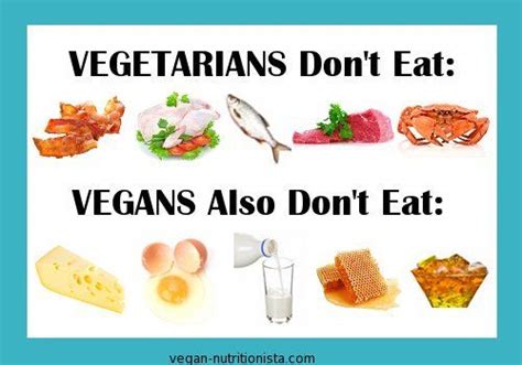 Why Vegan Vs Vegetarian Vegetarian Vs Vegan Vegetarian Benefits Vegetarian