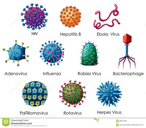 7 Tipos De Virus
