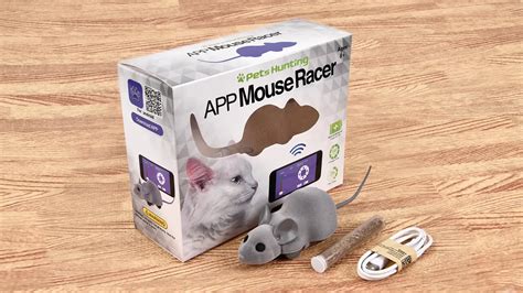 Petstar Smart Remote Control Electrical Mice Interactive Racer Pet