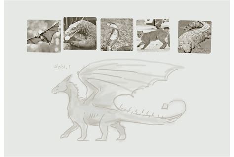 Infographics Dragon On Behance