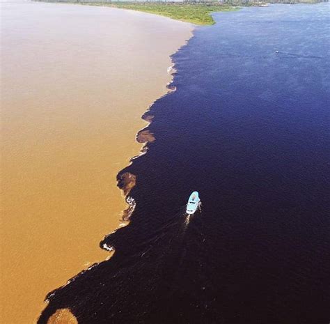Where The Amazon River Meets The Black River At Manaus Brazil