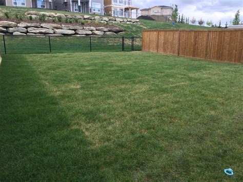 The Quality Of Work Was Great Rocky View Yards Landscaping
