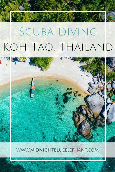 A Guide To Koh Tao Scuba Diving Artofit
