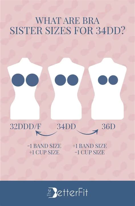 How Big Is A 34dd Bra Cup Size Thebetterfit