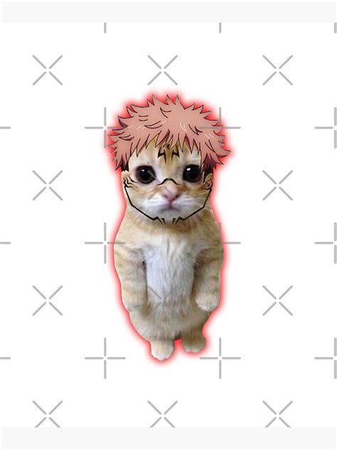 Share More Than 67 Anime Cat Memes Best Vn
