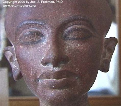 Would Herodotus Have Considered This Man To Be Black Skinned Ancient Nubia Egyptian History