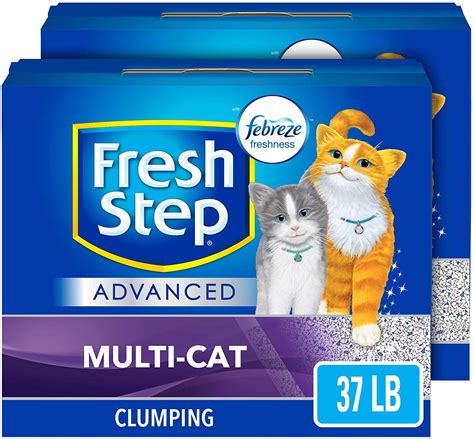 Slide Cat Litter Commercial Words Cat Meme Stock Pictures And Photos
