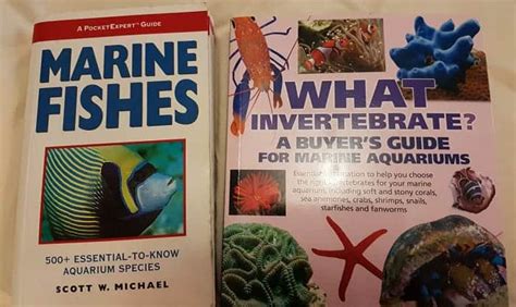 13 Best Marine Biology Books All Ocean Lover Must Read