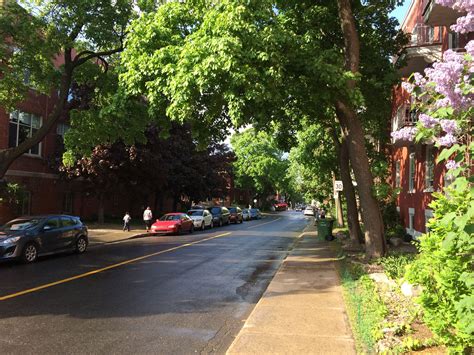 Le Babillard du Mile End