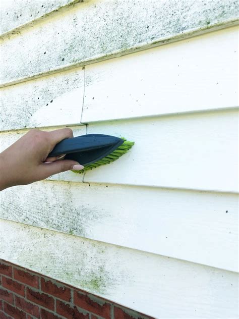 How To Clean Vinyl Siding Home Exterior Cleaning Nikkis Plate