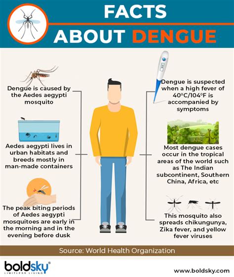 Dengue Causes Symptoms Diagnosis And Treatment