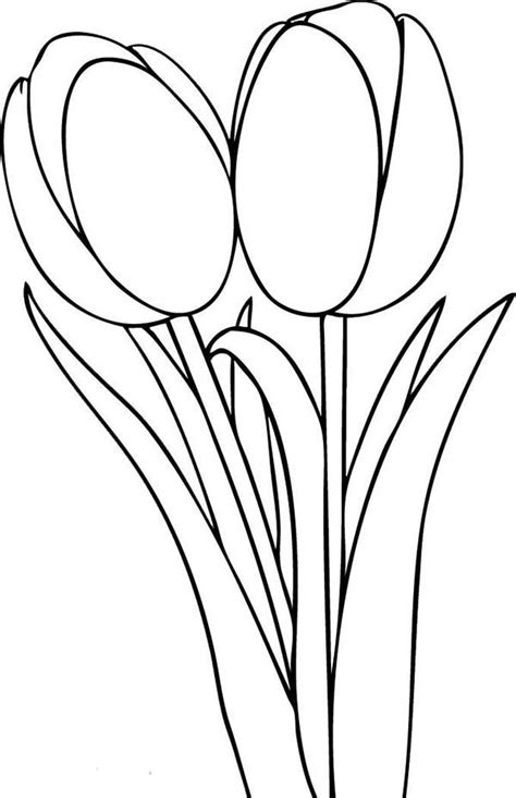 Tulip Outline Printable