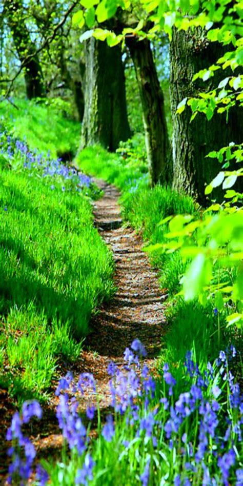 A Perfect Hiking Trail Walking In Nature Beautiful Nature