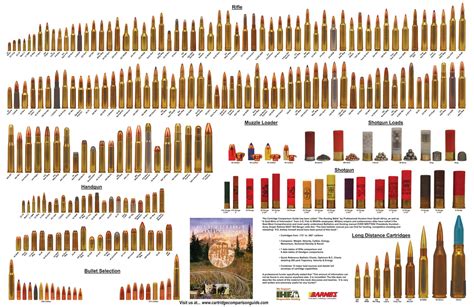 Vintage Outdoors Common Rifle Caliber Comparison Chart D