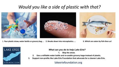 Plastic Contaminations Lake Erie Foundation