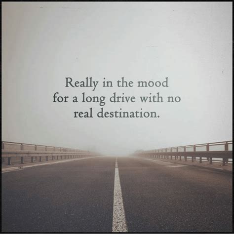 really in the mood for a long drive with no real destination mood meme on me me