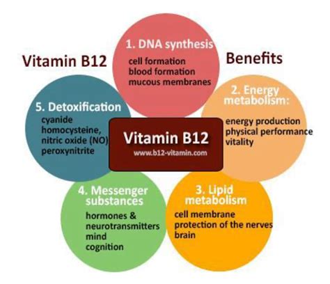 Vitamin B12 The Ever Important Nutrient What Your Genetics May Tell