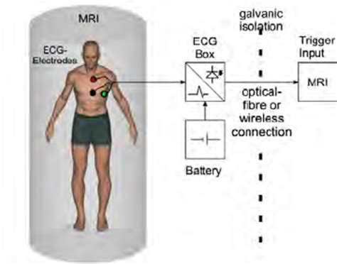 Basic Setup For Ecg Monitoring In A Clinical Mri Environment Patient
