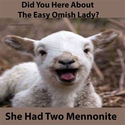17 Best Funny Baby Goat Quotes Memes And Puns Images On Pinterest