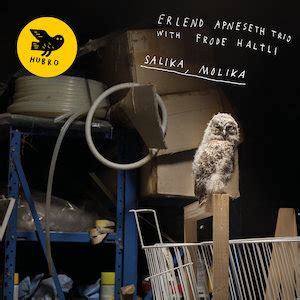 Erlend Apneseth Trio: Salika, Molika | Folk Radio UK