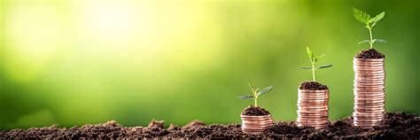 Growing Money - Plant On Coins - Finance And Investment Concept - ABD