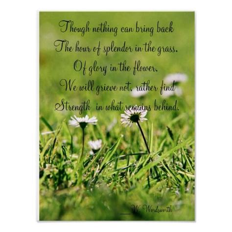 It's become something of a tradition by now: Splendor In The Grass Poster - Custom Posters - Design ...